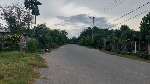 Cần lô đất MT đường nhựa Võ Thị Bàng 2 xe cont tránh nhau, dt 685,5m, có 60m thổ cư, xã An Nhơn Tây