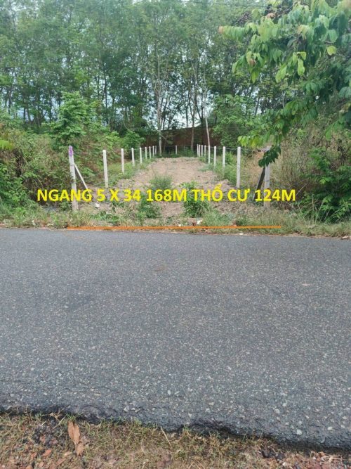 Ngộp! bán lô đất MT đường nhựa Gốc Rưng, dt 168m, full thổ cư, xã An Nhơn Tây