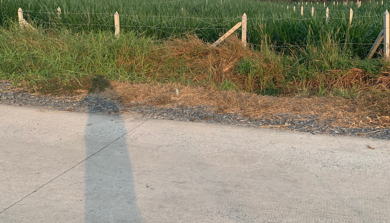 Bán lô đất MT đường Bê tông xe tải hẻm Nguyễn Thị Nê, dt 545m, 100% thổ cư, xã Phú Hòa Đông