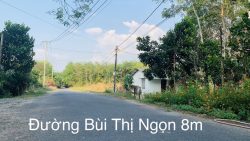 Hạ giá tiếp! quá rẻ cho lô đất Mặt tiền đường Bùi Thị Ngọn, dt 4.984m, xã An Nhơn Tây.