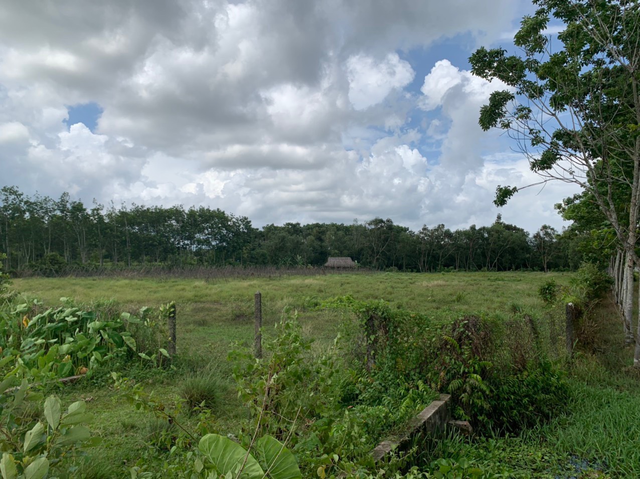 Bán lô đất 2 mặt tiền đường xe tải, diện tích 8.812m2, có 300m thổ cư, xã Nhuận Đức