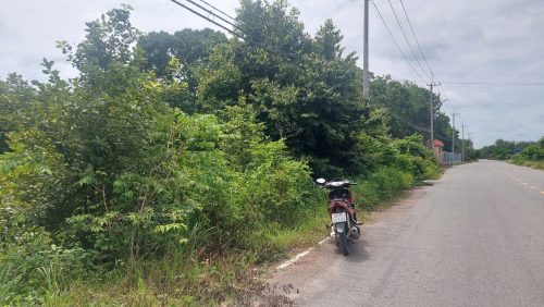 Bán lô đất mt đường Võ Thị Bàng rộng, 900m2, có 300m thổ cư, xã An Nhơn Tây