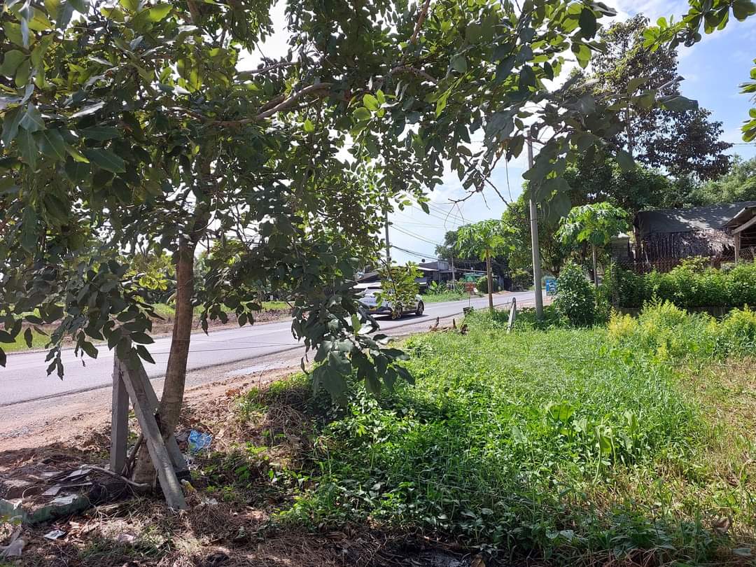 Bán lô đất góc mặt tiền Tỉnh lộ 15, dt 768m2, có 300m thổ cư, xã An Nhơn Tây