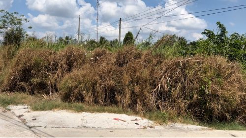 Ngộp! Ngộp! Bán đất lô đất 3 mặt tiền đường, diện tích 2.570m2, 100% thổ cư, xã Mỹ Phú, H. Thủ Thừa, Long An