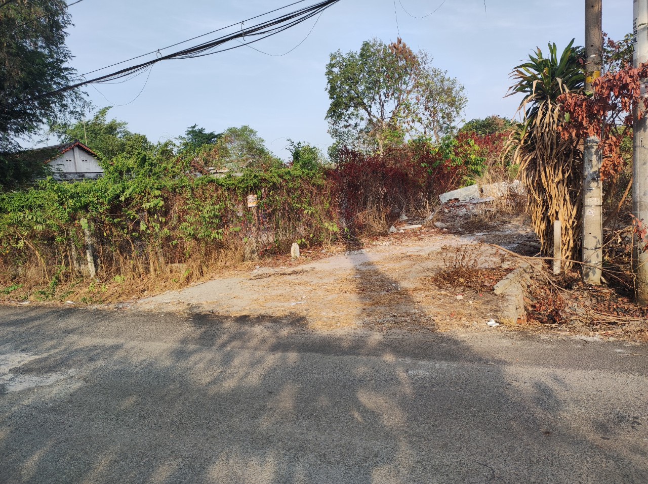 Bán lô đất MT đường nhựa 24, 500m2, có 60m thổ cư, xã Củ Chi