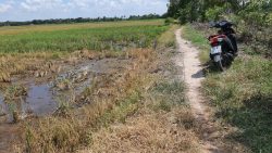 Bán lô đất mặt tiền đường kênh, 1.000m2 đất vườn, xã Thái Mỹ.