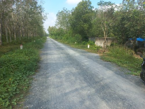 Bán lô đất MT đường số 492, dt 1246.3m2, 300m thổ cư, xã Nhuận Đức..