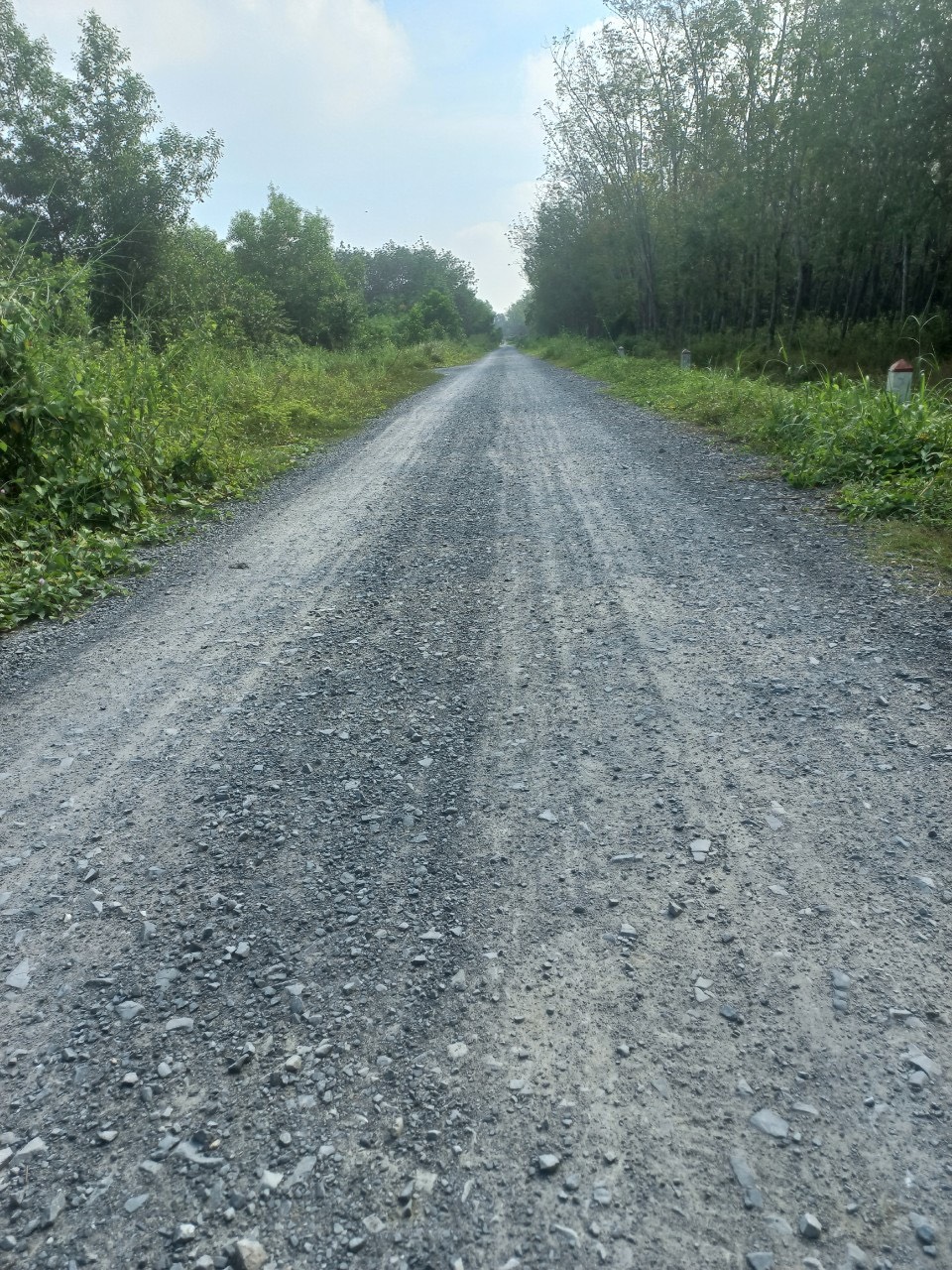 Bán lô đất MT đường số 492, dt 1246.3m2, 300m thổ cư, xã Nhuận Đức..