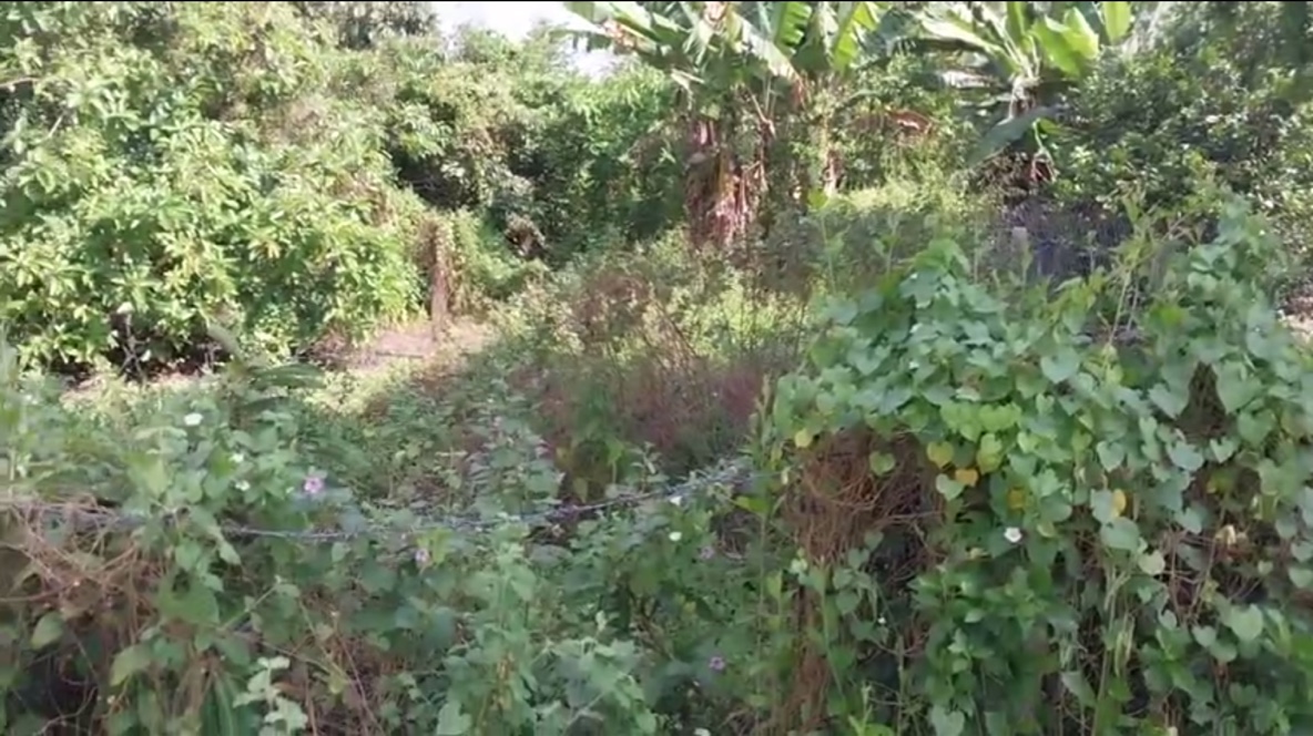 Bán đất Củ Chi, lô đất MT đường nhựa 575, dt 187,4m2, 150m thổ cư, xã Nhuận Đức..