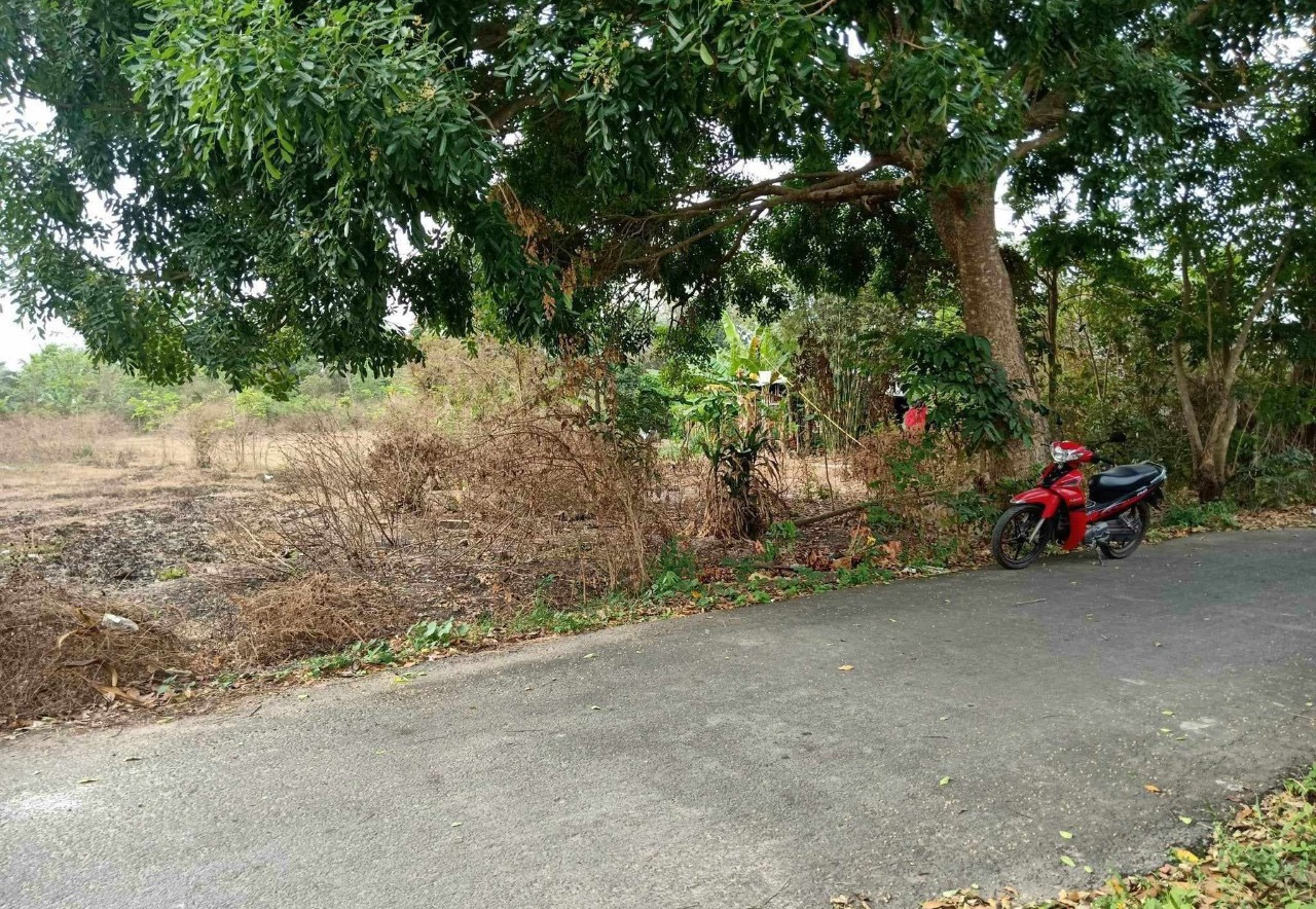 Bán lô đất MT đường nhựa, dt 2818.7m2, có 253m thổ cư, xã Thái Mỹ.