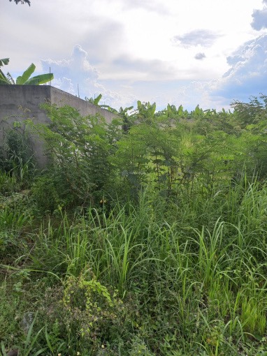 Cần tiền cắt lỗ bán gấp lô đất MT đường nhựa Trung Lập, dt 147m2, full thổ cư, xã Thái Mỹ.