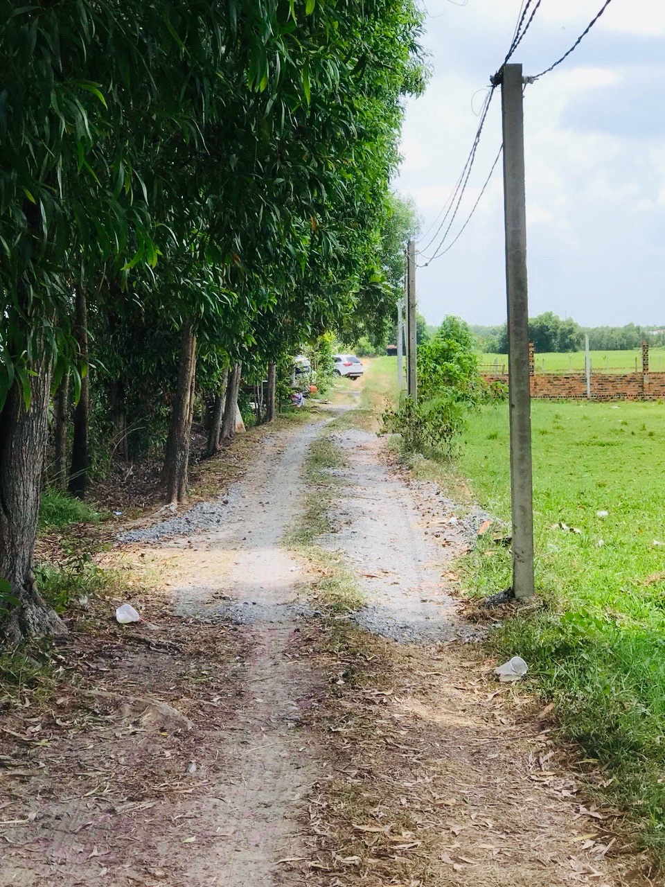 Bán đất Củ Chi, lô đất vườn góc 2 mặt tiền đường xe oto, 3.559m2, xã Nhuận Đức