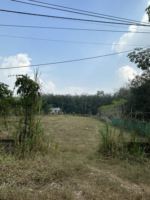 Bán lô đất mặt tiền đường nhựa Bùi Thị Ngọn, dt 1176m2, có 170m thổ cư, xã An Nhơn Tây.