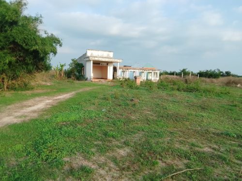 Đất Củ Chi, Ngộp giảm từ 200 tỷ còn 112 tỷ bán lô đất dt 48.000m2, có 147.7m thổ cư, xã An Nhơn Tây