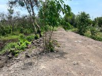 Ngộp! Bán lô đất vườn mặt tiền đường kênh, xe oto tới đất, dt 3.300m2, xã Phú Hòa Đông.