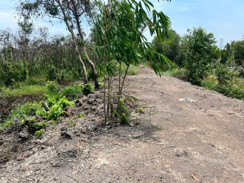 Ngộp! Bán lô đất vườn mặt tiền đường kênh, xe oto tới đất, dt 3.300m2, xã Phú Hòa Đông.