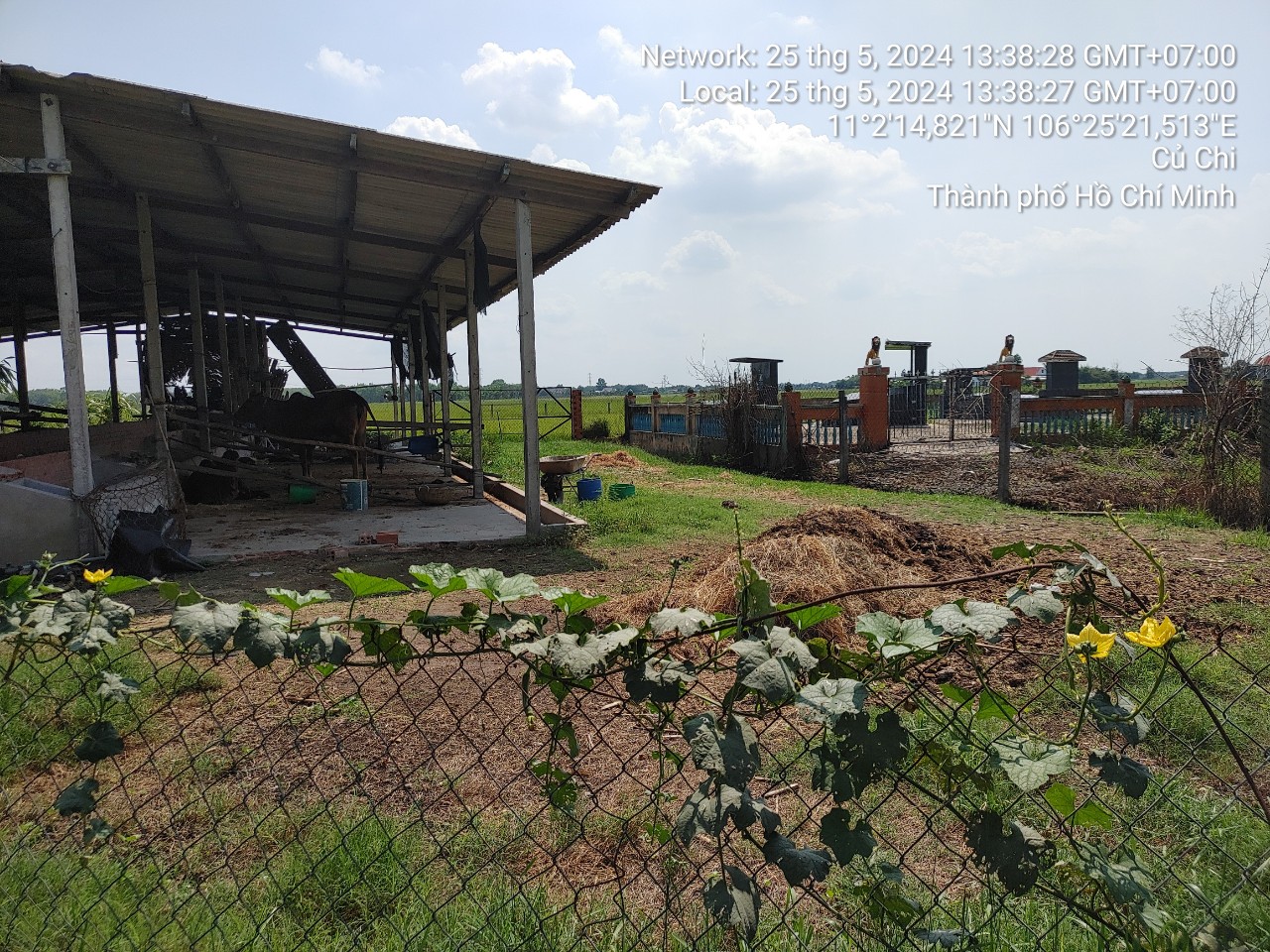 Bán gấp lô đất mt trải đá xe tải, dt 4.578m, có 332 thổ cư, xã Thái Mỹ..