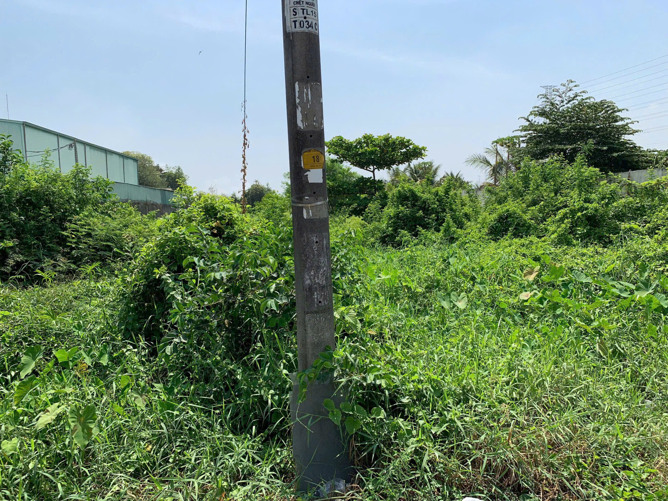 Bán lô đất mt đường Tỉnh Lộ 15 giáp Hóc Môn, dt 1.779m, Khu dân cư, xã Phú Hòa Đông.