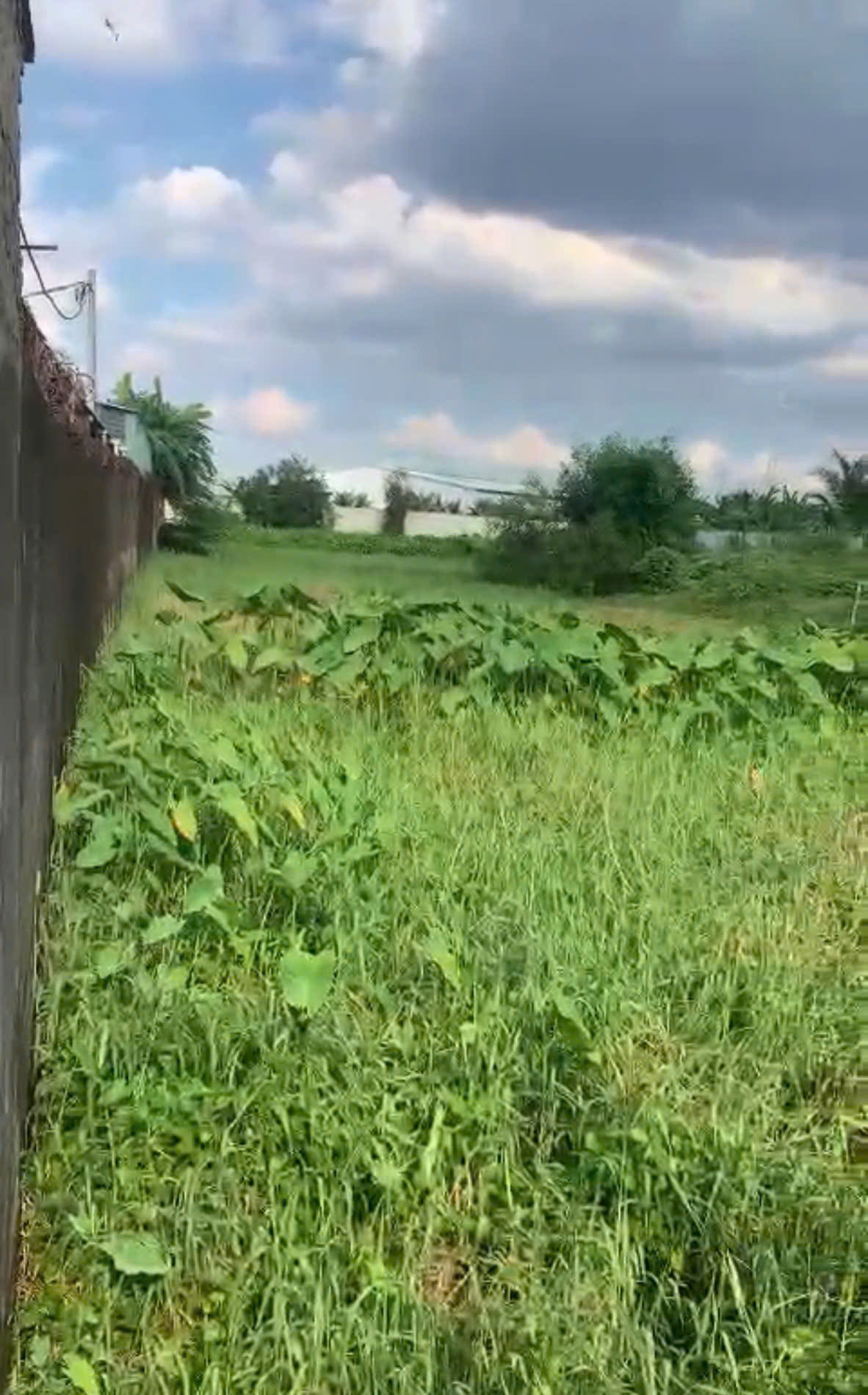 Bán lô đất mt đường Tỉnh Lộ 15 giáp Hóc Môn, dt 1.779m, Khu dân cư, xã Phú Hòa Đông.