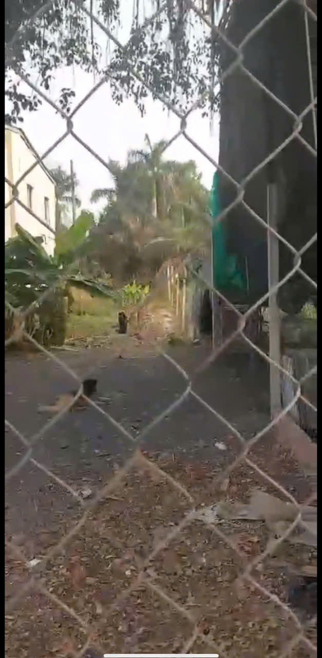 Bán lô đất MT đường TỈNH LỘ 8, dt 268m, QH KDC, còn đất lúa, xã Củ Chi..