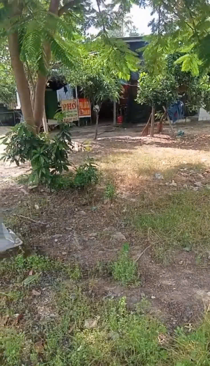 Ngộp, cần tiền bán lô đất mt đường Nguyễn Thị Nê,dt 1.068m2, có 388m thổ cư, xã Phú Hòa Đông.