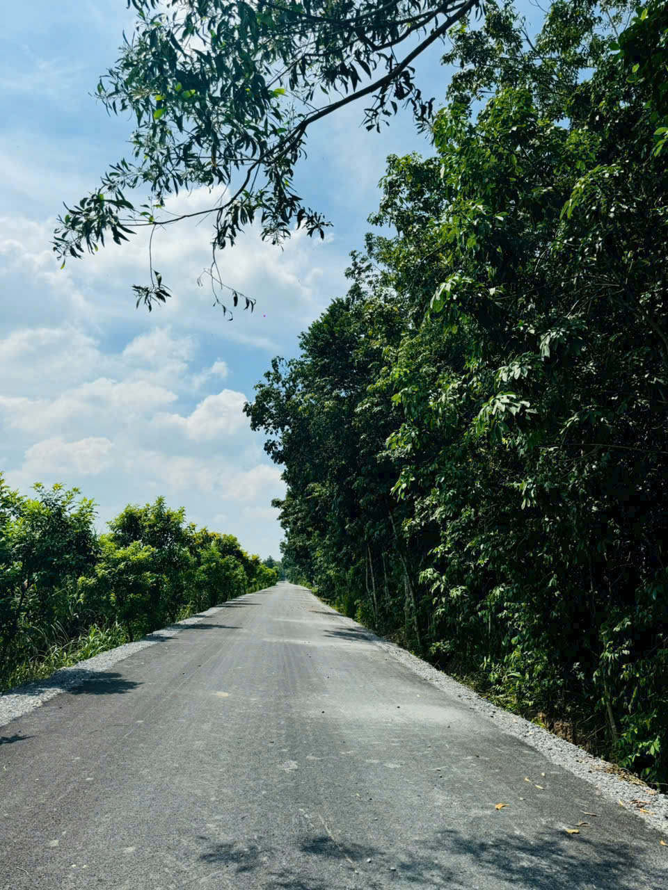 Bán lô đất Mặt tiền đường nhựa 496, dt 409m, có 70m thổ cư, xã Nhuận Đức..