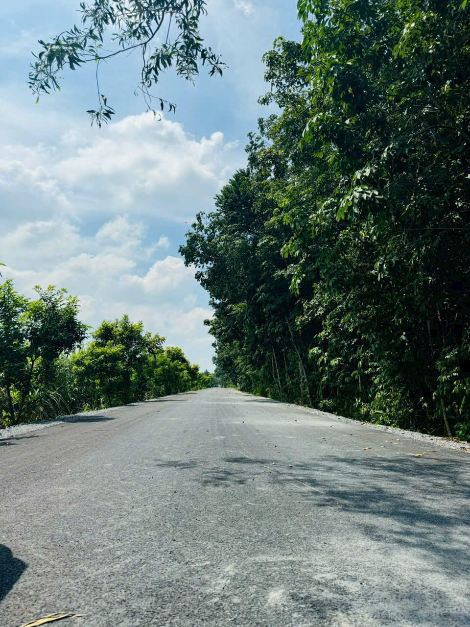 Bán lô đất Mặt tiền đường nhựa 496, dt 409m, có 70m thổ cư, xã Nhuận Đức..