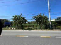 Bán lô đất mt đường lớn Đỗ Đăng Tuyển, dt 140m, có 87m thổ cư, xã An Nhơn Tây.