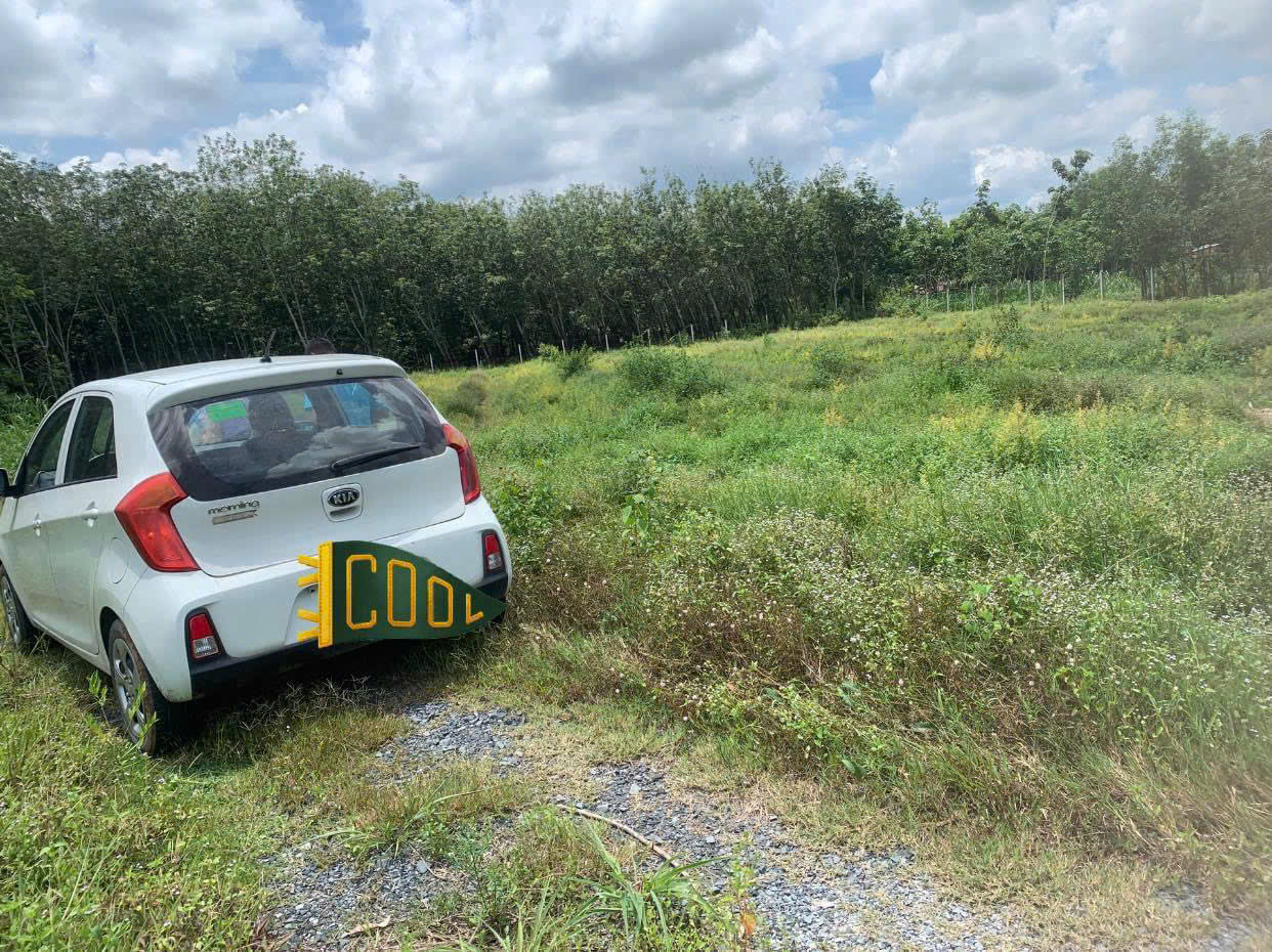 Đất Củ Chi! Cần bán lô đất vườn đường ô tô tới đất, dt 2.787m, đất CLN, xã An Nhơn Tây.