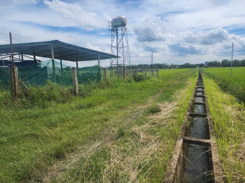 Cần bán lô đất vườn đường dọc bờ kênh, dt 4.211m, đất CLN, xã Thái Mỹ.