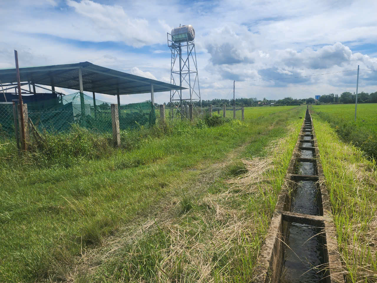 Cần bán lô đất vườn đường dọc bờ kênh, dt 4.211m, đất CLN, xã Thái Mỹ.