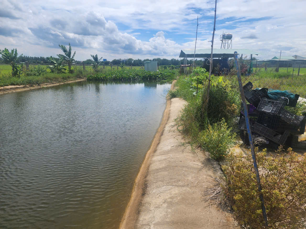 Cần bán lô đất vườn đường dọc bờ kênh, dt 4.211m, đất CLN, xã Thái Mỹ.