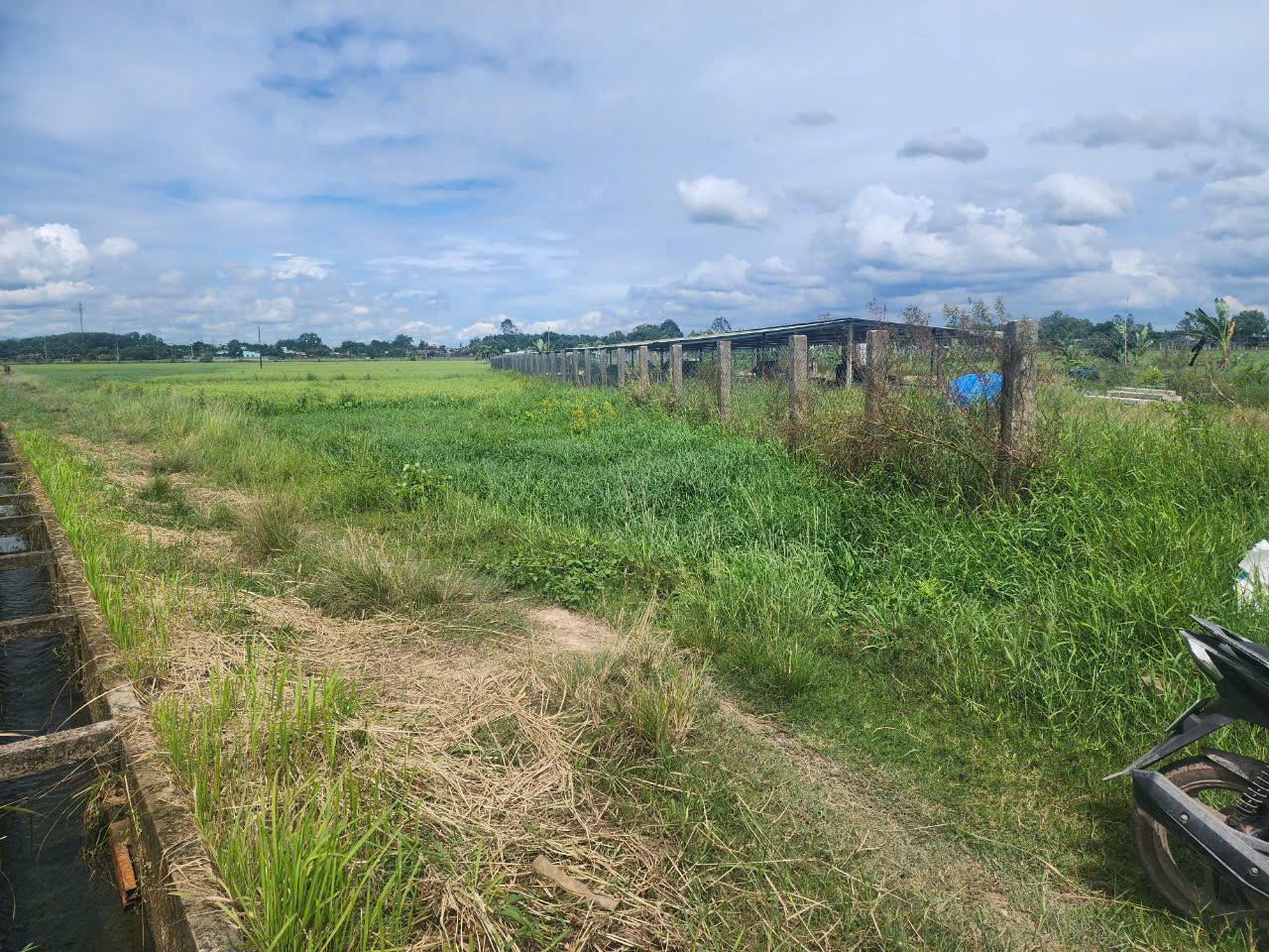 Cần bán lô đất vườn đường dọc bờ kênh, dt 4.211m, đất CLN, xã Thái Mỹ.