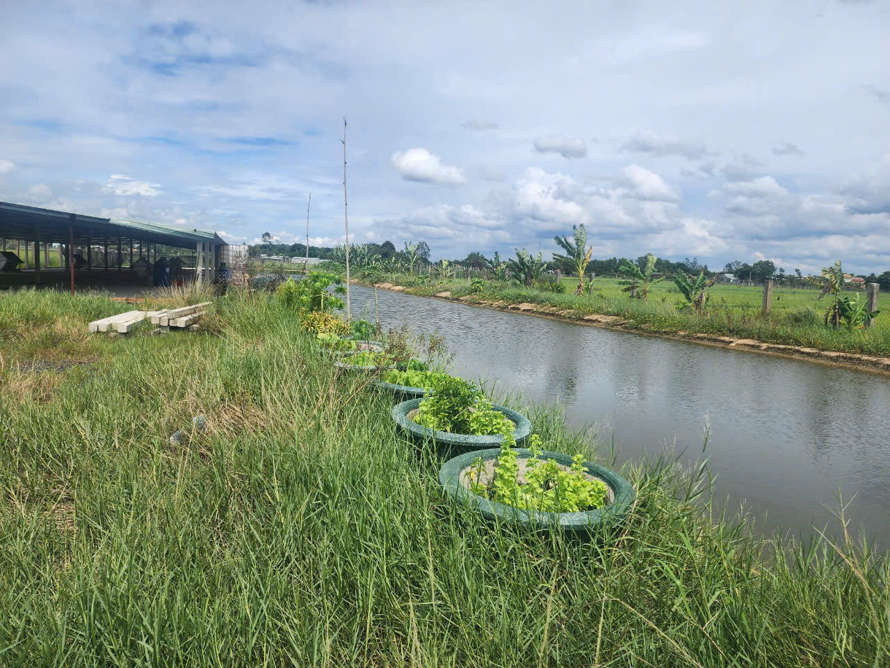 Cần bán lô đất vườn đường dọc bờ kênh, dt 4.211m, đất CLN, xã Thái Mỹ.