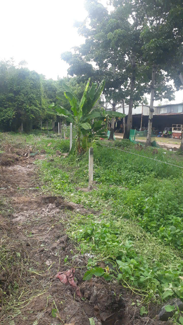 Cần bán lô đất tặng căn nhà mt Nguyễn Thị Rành, dt 1.630m, có thổ cư, xã Nhuận Đức.