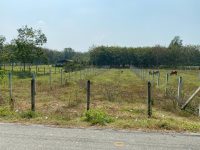 Bán lô đất MT đường nhựa Phú Hiệp, 711m2, có thổ cư, xã An Nhơn Tây.