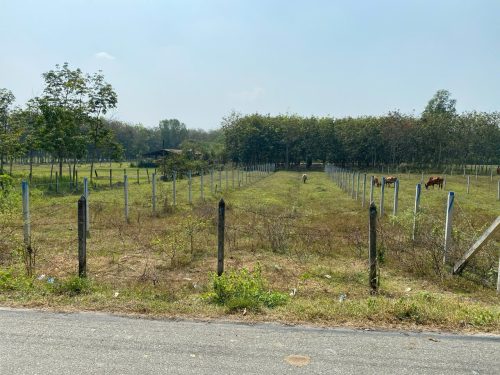 Bán lô đất MT đường nhựa Phú Hiệp, 711m2, có thổ cư, xã An Nhơn Tây.