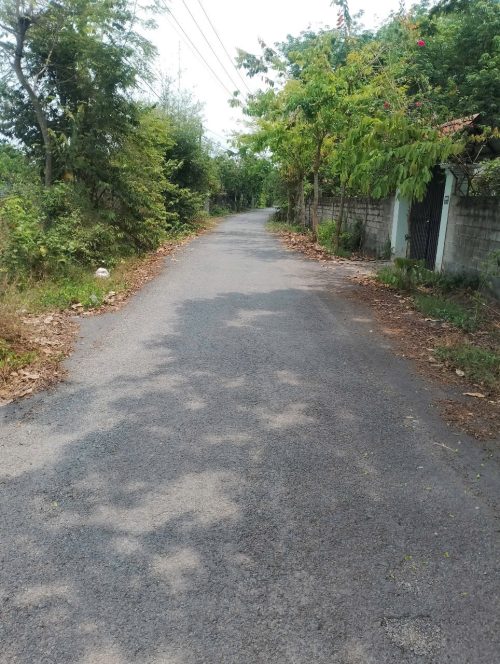 Bán lô mt đường nhựa Trần Thị Liêng, dt 3.625m2, QH khu dân cư, xã Nhuận Đức.