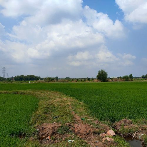 Ngộp hạ giá sốc, lô đất 2 MT đường đất và đường kênh, 1.760m2 đất vườn, QH KDC, xã Thái Mỹ.