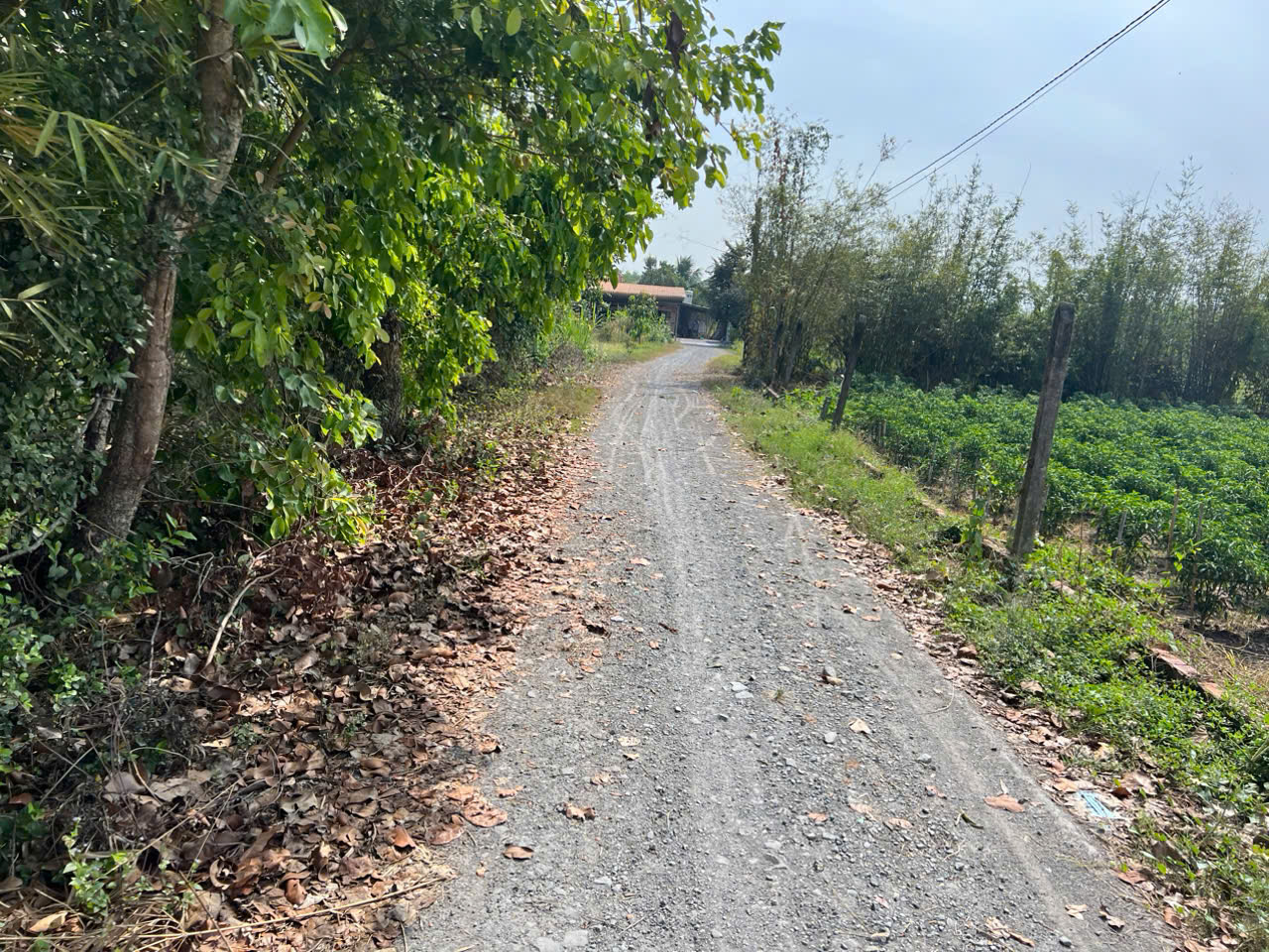 Đất ngộp giảm giá MT đường trải đá 1 sẹc ngắn đường An Nhơn Tây, DT 229 m2, Full thổ cư 100%, An Nhơn Tây