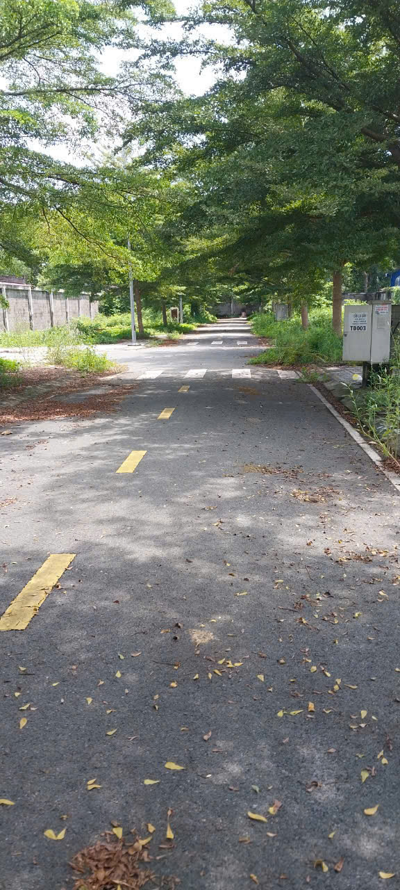 Bán lô đất 1 sẹc đường Nguyễn Thị Séo, diện tích 83,5m2, full thổ, xã Củ Chi.