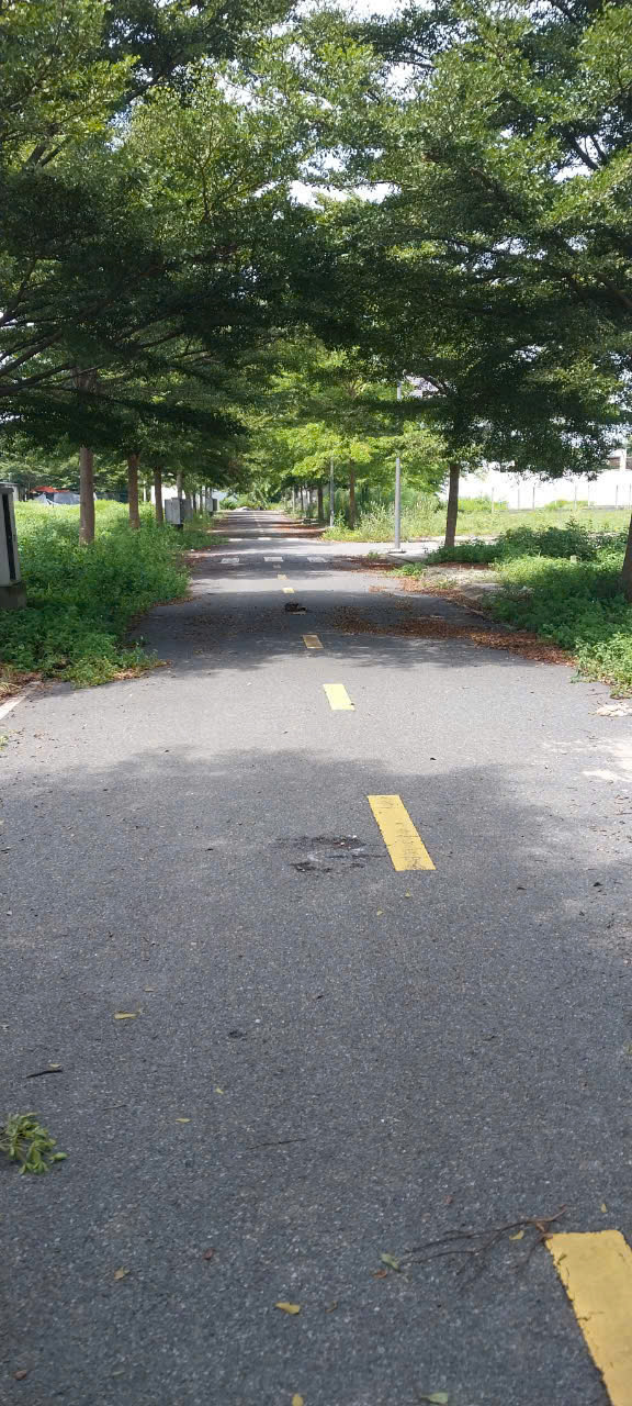 Bán lô đất 1 sẹc đường Nguyễn Thị Séo, diện tích 83,5m2, full thổ, xã Củ Chi.