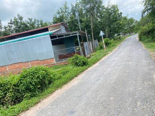 Đất Tây Ninh, bán lỗ trang trại và đất vườn hơn 2ha, quy hoạch khu dân cư, thị xã Trảng Bàng.