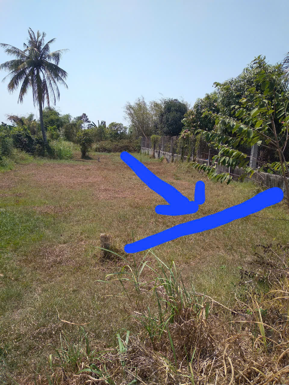 Bán lô đất MT đường nhựa Trương Thị Kiện, dt 292m, full thổ cư, xã Thái Mỹ