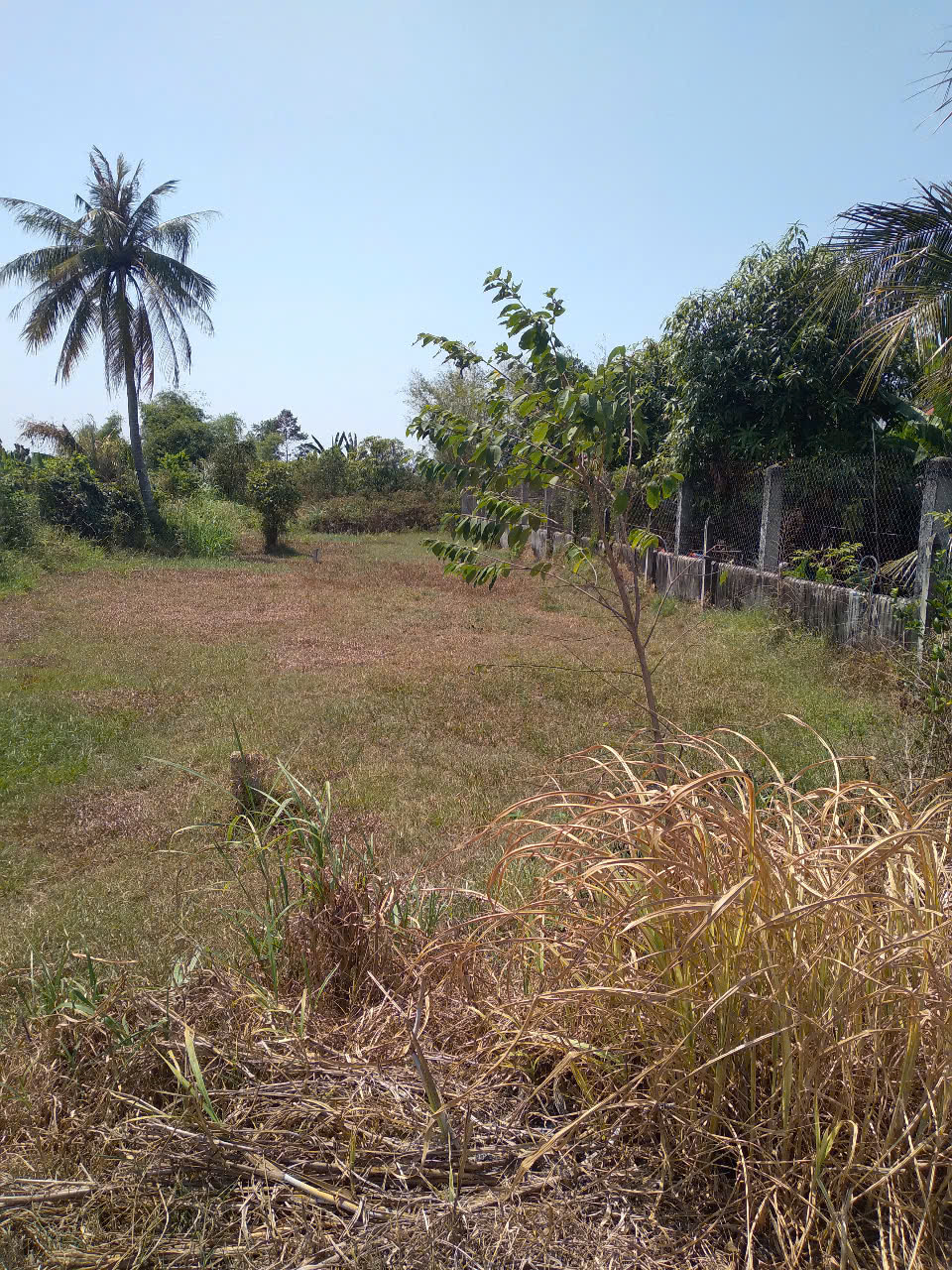 Bán lô đất MT đường nhựa Trương Thị Kiện, dt 292m, full thổ cư, xã Thái Mỹ