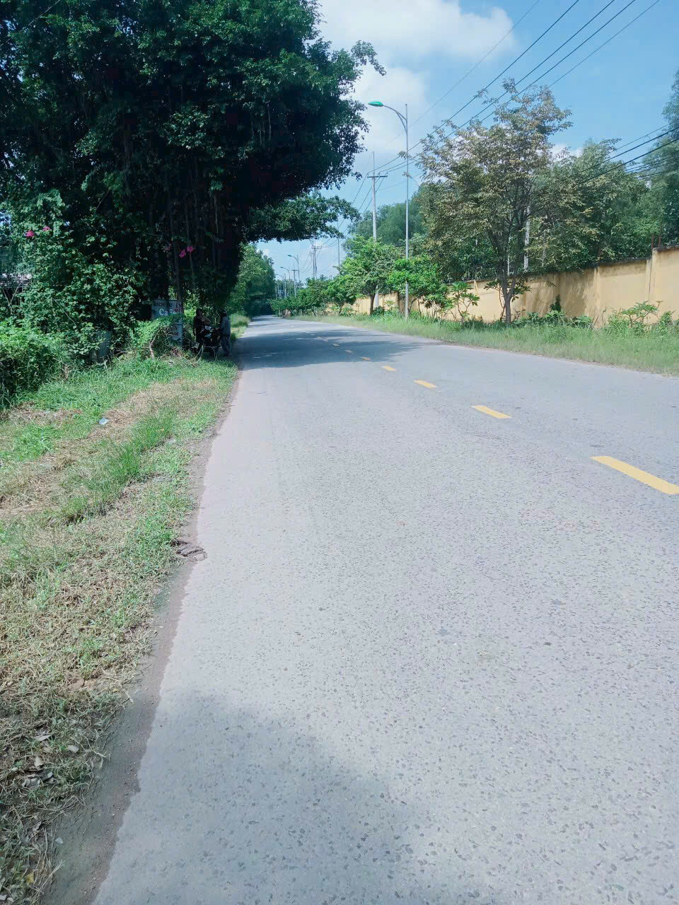 Bán lô đất Mặt tiền Tỉnh Lộ 06, 1.289 m2 có 185m2 thổ cư, xã An Nhơn Tây