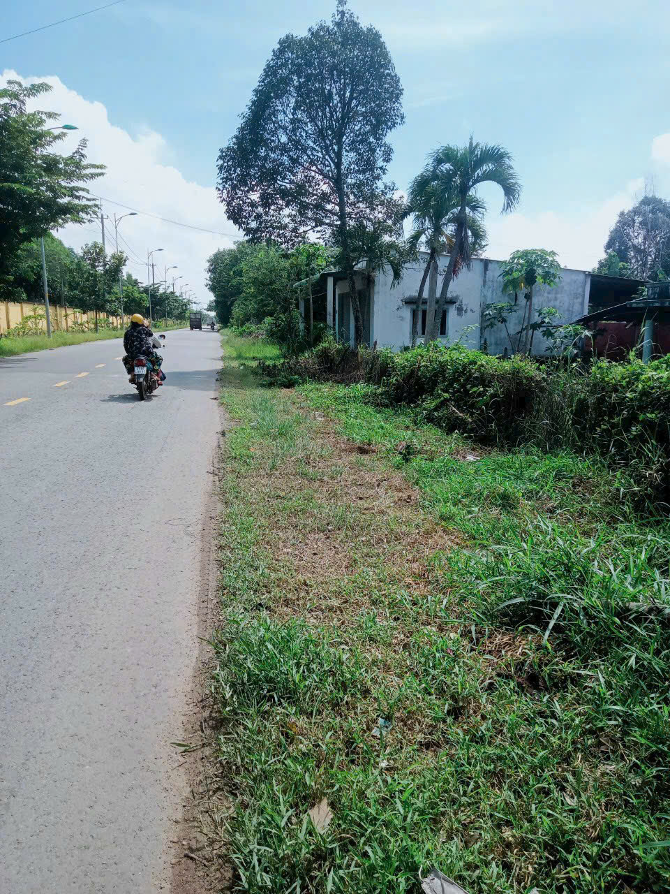 Bán lô đất Mặt tiền Tỉnh Lộ 06, 1.289 m2 có 185m2 thổ cư, xã An Nhơn Tây