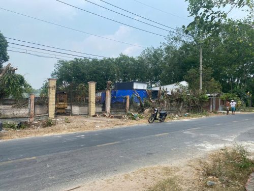 Bán lô đất góc 2 MT đường Cây Gõ, diện tích 1359m, có 300m thổ, xã An Nhơn Tây.