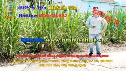 lô đất 1 sẹc ngắn đường Đỗ Đăng Tuyển, diện tích 118m, full thổ cư, xã An Nhơn Tây