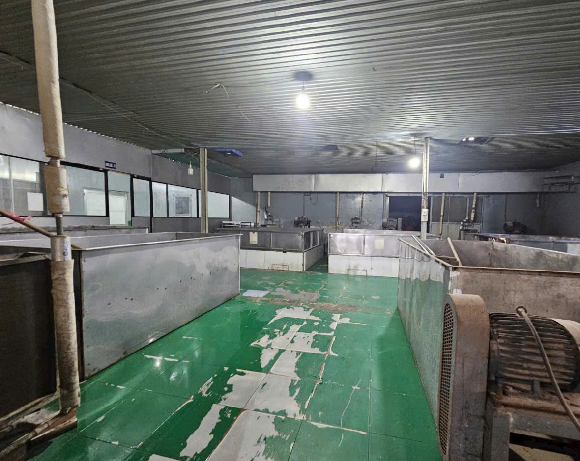 Bán xưởng hẻm xe tải 3,5 tấn, diện tích 1.071m2 có 497m2 thổ , xã Phú Hòa Đông